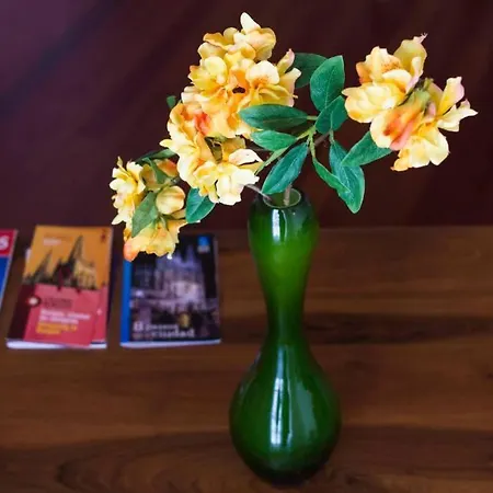 Tu Hogar En El Camino. Centro. Vut. Wifi 아파트