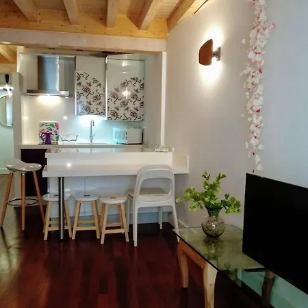 Apartment Tu Hogar En El Camino. Centro. Vut. Wifi Burgos