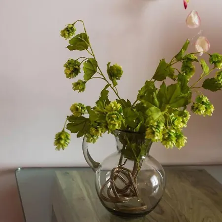 Apartman Tu Hogar En El Camino. Centro. Vut. Wifi Burgo