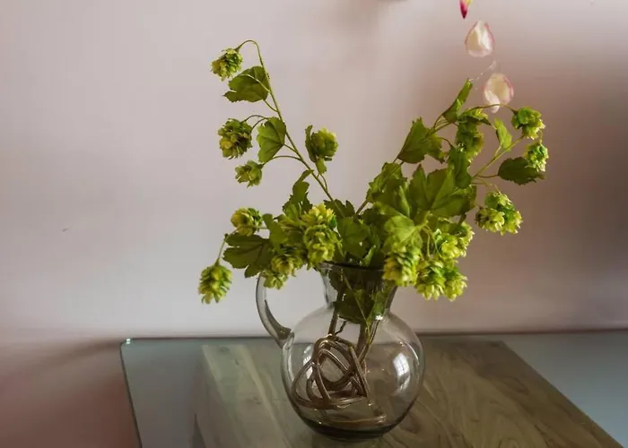 アパート Tu Hogar En El Camino. Centro. Vut. Wifi Burgo